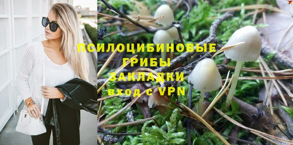 винт Алексеевка