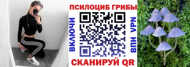 Купить  Таштагол  Псилоцибиновые грибы мицелий 